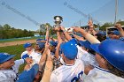 Baseball vs Babson  Wheaton College Baseball players celebrate their victory over Babson to win the NEWMAC Championship for the third year in a row. - (Photo by Keith Nordstrom) : Wheaton, baseball, NEWMAC